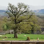 Rainors Farm Bed & Breakfast