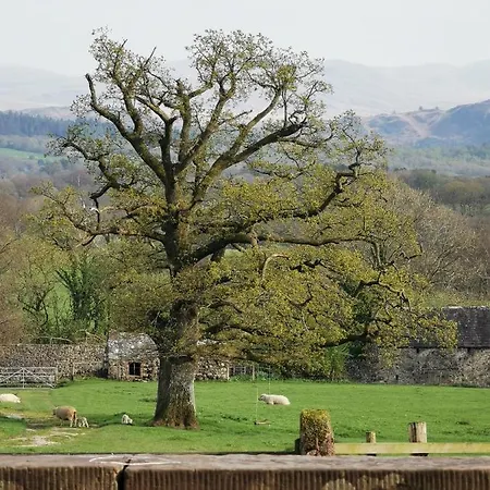 Rainors Farm Отель типа 