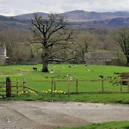 Rainors Farm