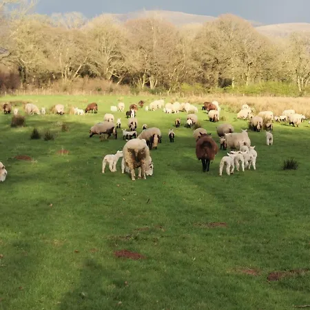 Rainors Farm